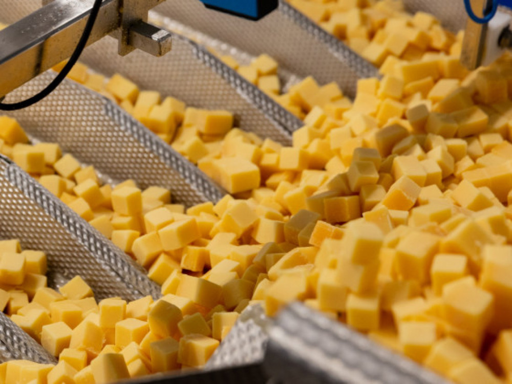 Facility Layout Solution bij een kaasverwerker