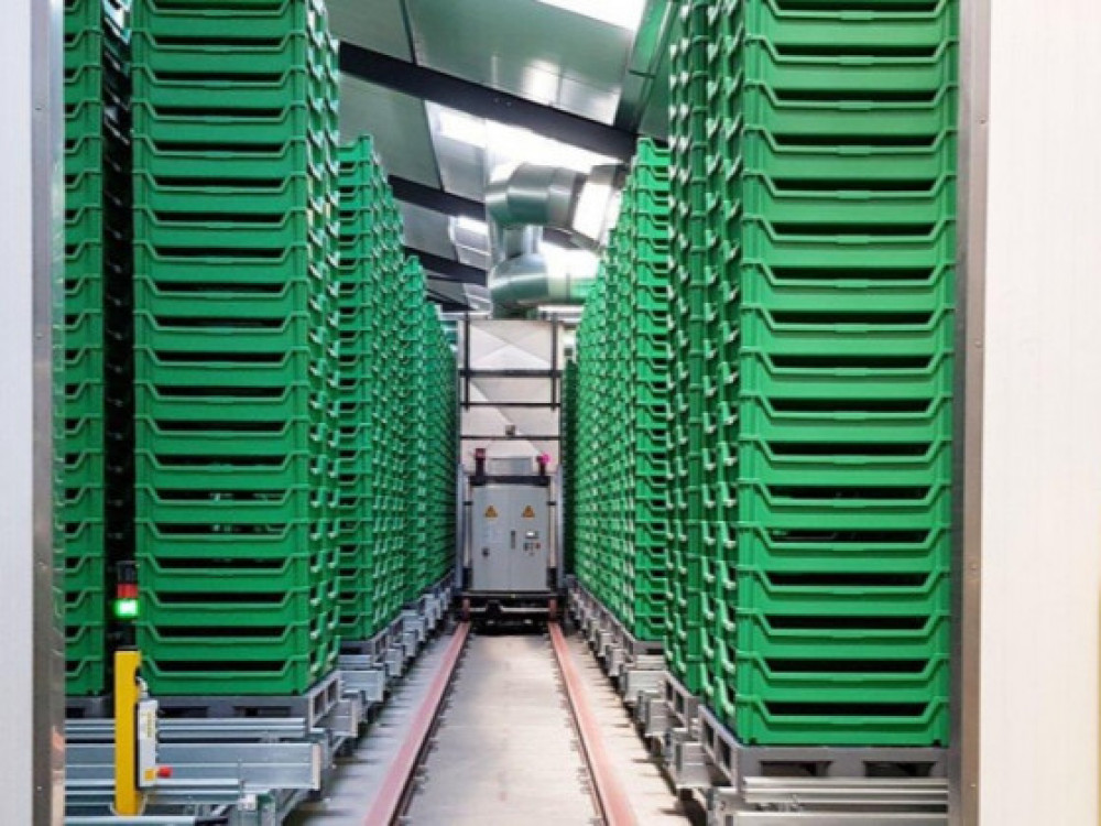 Realisatie state-of-the-art insecten ingrediëntenfabriek