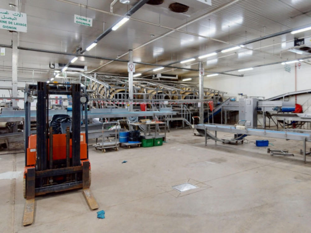 Masterplan bij een Marokkaans groente processing- & packstation