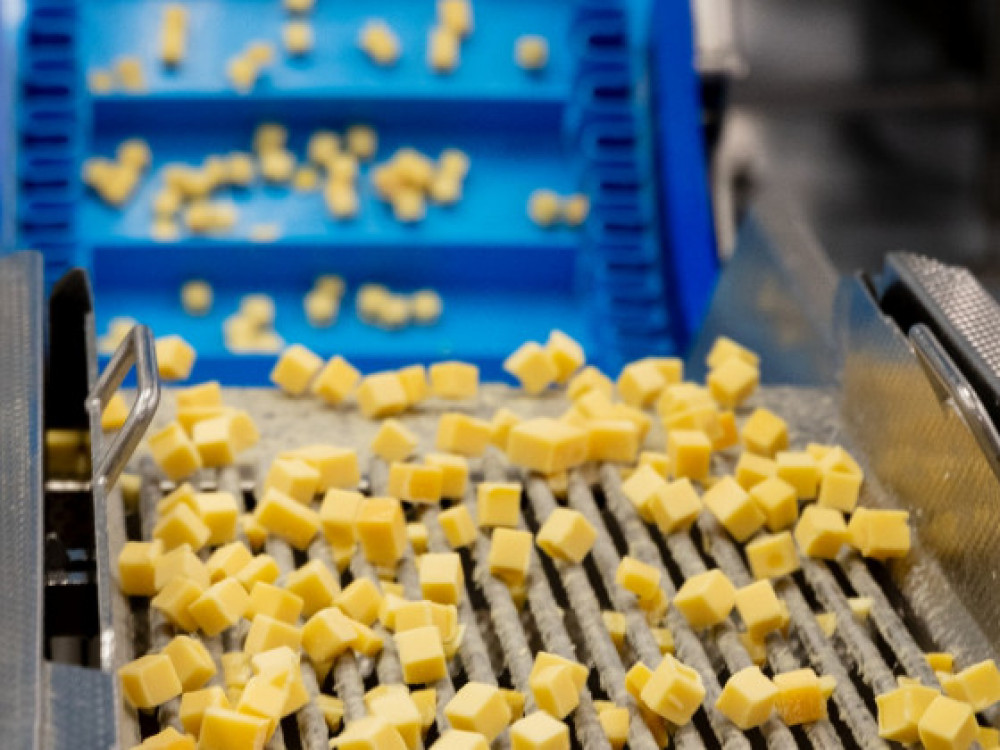 Pilot data analysis at a cheese processor